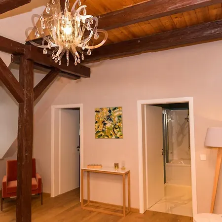 Apartmenthaus Am Dom Junior Suite Mit Parkplatz Zwickau Buitenkant foto