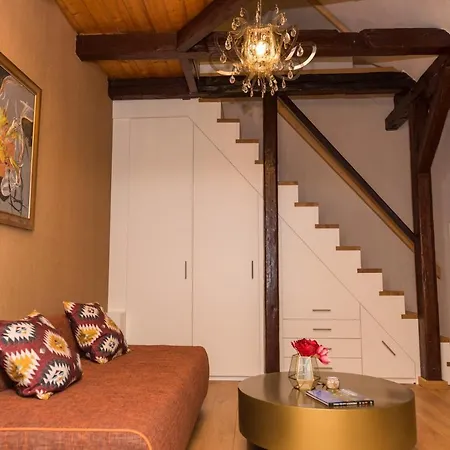 Apartmenthaus Am Dom Junior Suite Mit Parkplatz Zwickau Buitenkant foto